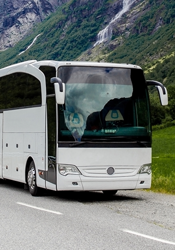 Lignes de bus régulières